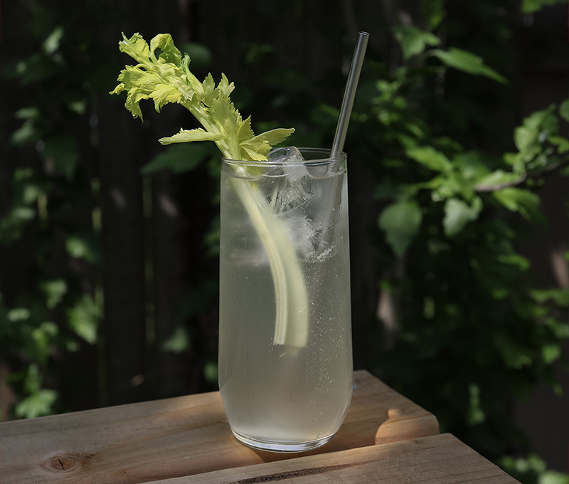 DIY Celery Soda Recipe