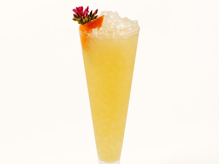 A tropical tiki cocktail with flower garnish.