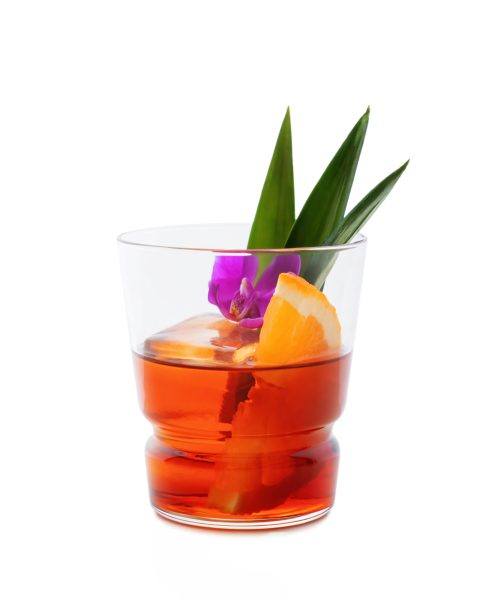 7 5oC Campari Jamaican Negroni 06606 JPG 480x600 1